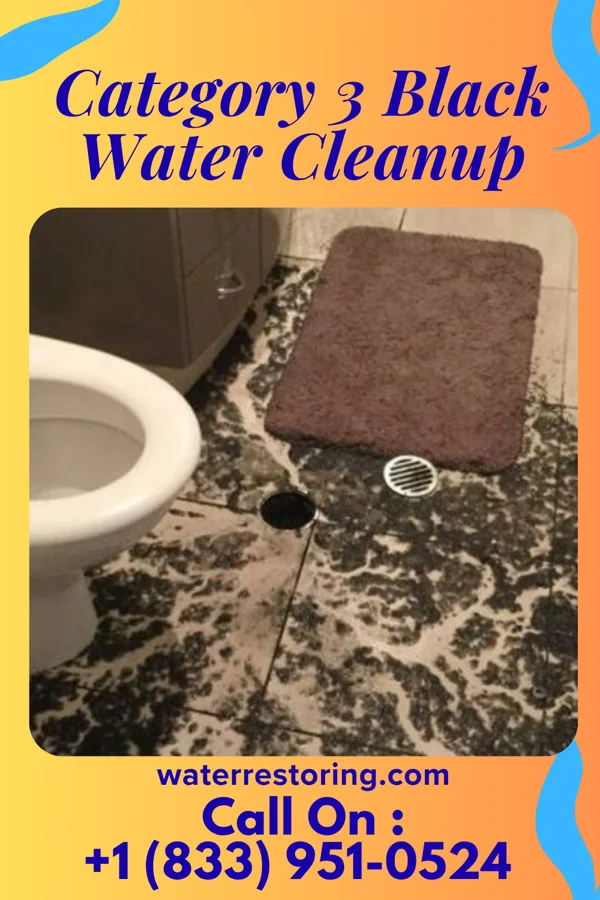 Category 3 Black Water Cleanup in Brunswick, NE