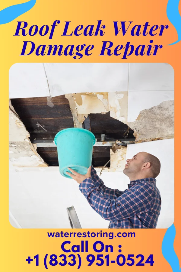 Roof Leak Water Damage Repair in Brunswick, NE